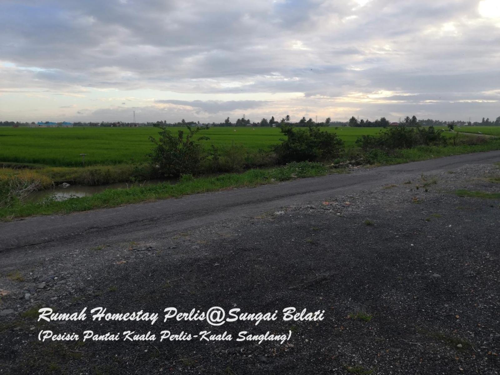 Rhumah Sungai Belati Villa Simpang Empat  Kültér fotó